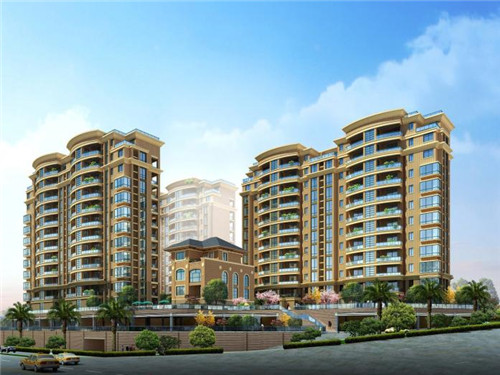 张成荣电烤鸡架