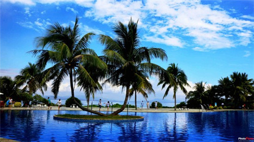 四季涮肉羊蝎子火锅