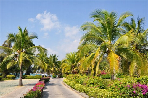 川麻婆串串火锅