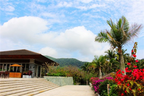 乔东家排骨大包