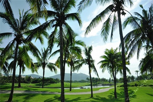 仁德酒店加盟费多少，仁德酒业有限公司