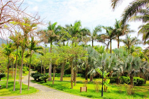 泰安奶品牌，泰安哪有奶茶店