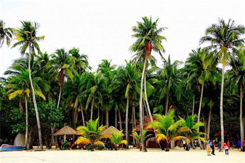 奶茶店上班需什么条件