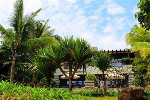 阿娇过桥米线怎么加盟