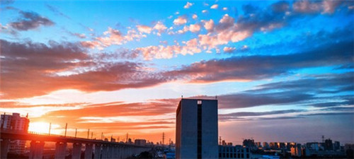 柏林墙射手案最终判决（柏林墙枪击案件）