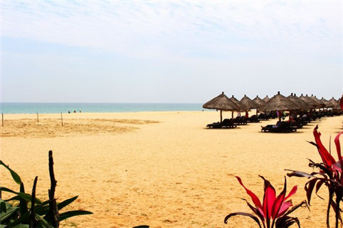 艞有什么组词（有什么组词可以倒过来念）