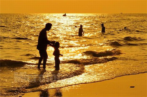 香油正确储存方法（香油保存方法不失香）